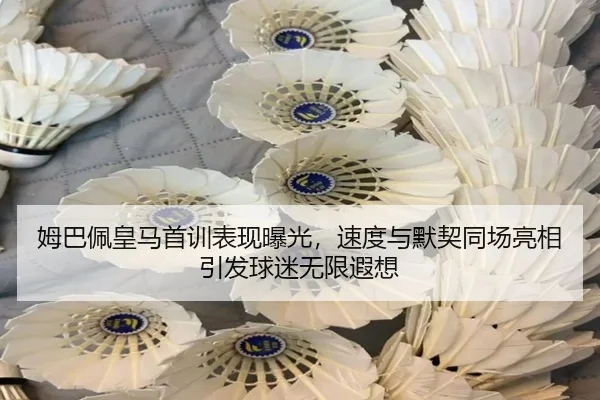 姆巴佩皇马首训表现曝光，速度与默契同场亮相引发球迷无限遐想（kaiyun）